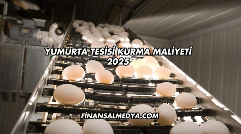 Yumurta Tesisi Kurma Maliyeti 2025