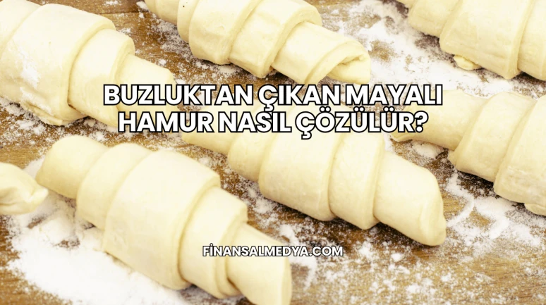 Buzluktan Çıkan Mayalı Hamur Nasıl Çözülür?