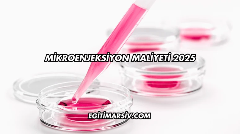 Mikroenjeksiyon Maliyeti 2025