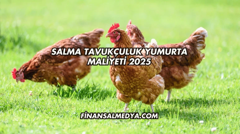 Salma Tavukçuluk Yumurta Maliyeti 2025