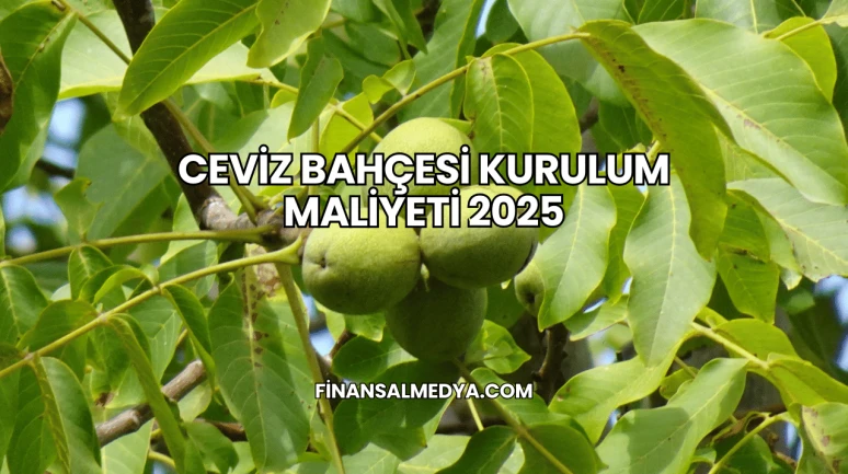 Ceviz Bahçesi Kurulum Maliyeti 2025