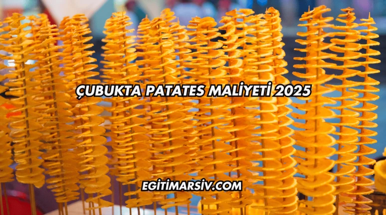 Çubukta Patates Maliyeti 2025