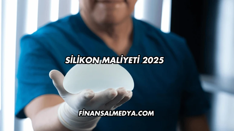 Silikon Maliyeti 2025