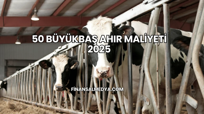 50 Büyükbaş Ahır Maliyeti 2025