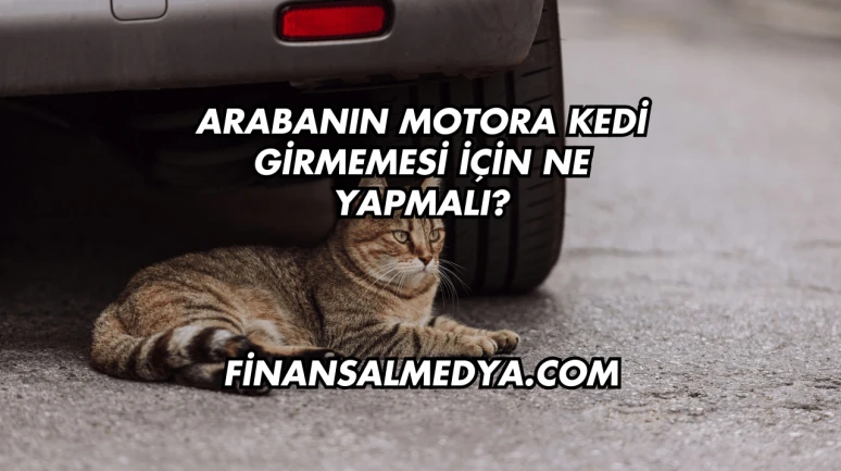 Aramayan Kıza Ne Yapmalı?