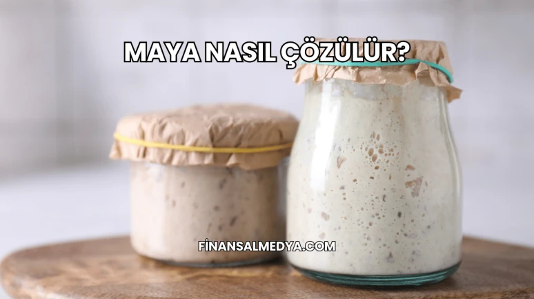 Maya Nasıl Çözülür?