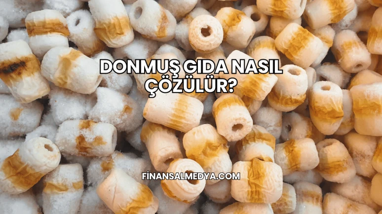 Donmuş Gıda Nasıl Çözülür?