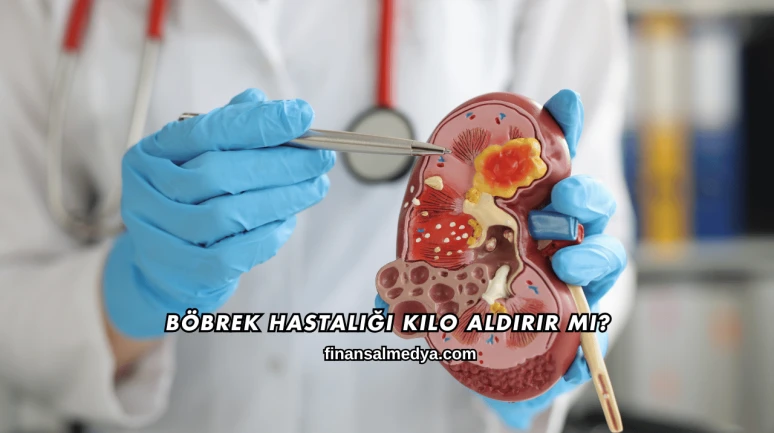 Böbrek Hastalığı Kilo Aldırır mı?