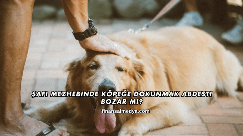 Şafi Mezhebinde Köpeğe Dokunmak Abdesti Bozar mı?