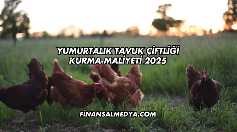 Yumurtalık Tavuk Çiftliği Kurma Maliyeti 2025