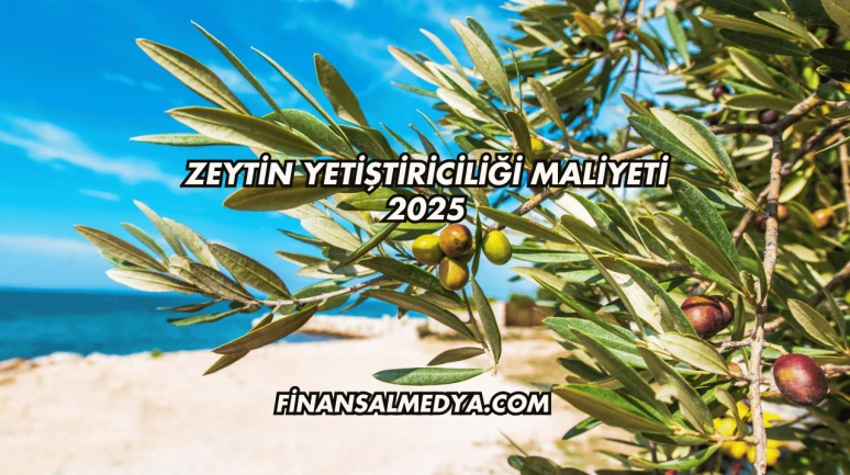 Zeytin Yetiştiriciliği Maliyeti 2025