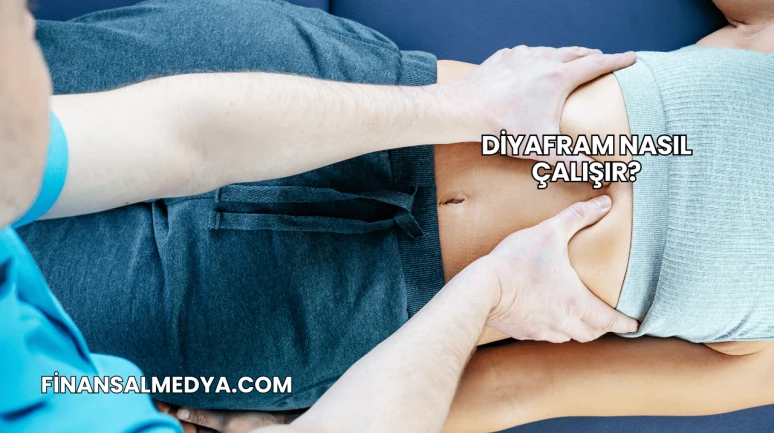 Diyafram Nasıl Çalışır?