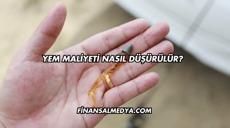 Yem Maliyeti Nasıl Düşürülür?