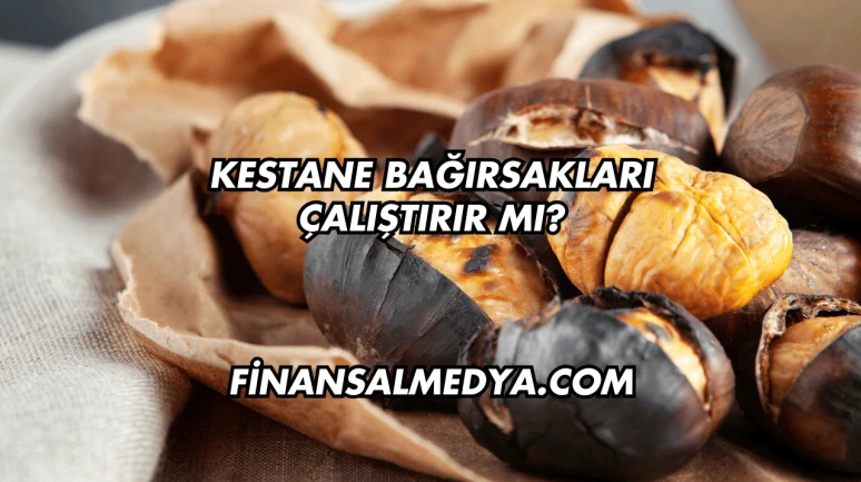 Kestane Bağırsakları Çalıştırır mı?