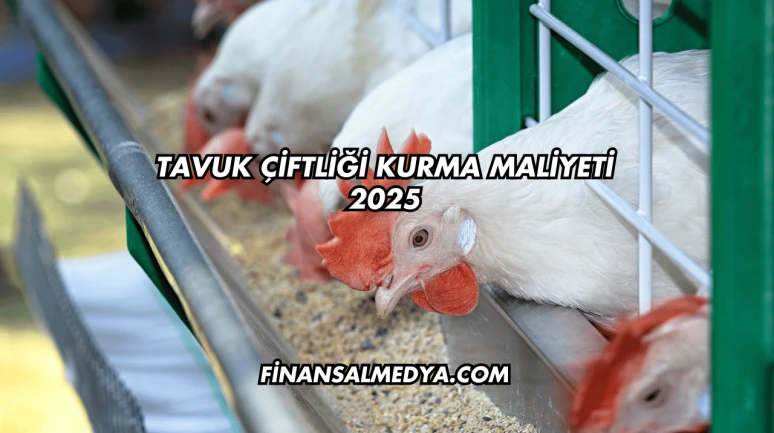 Tavuk Çiftliği Kurma Maliyeti 2025