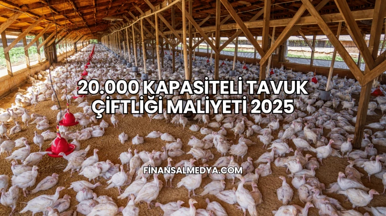 20.000 Kapasiteli Tavuk Çiftliği Maliyeti 2025