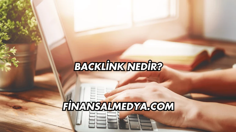 Backlink Nedir?
