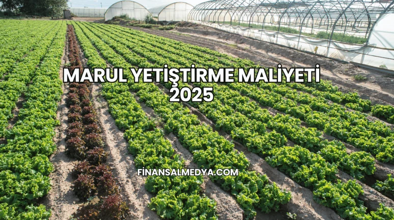Marul Yetiştirme Maliyeti 2025