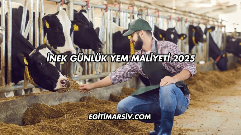 İnek Günlük Yem Maliyeti 2025