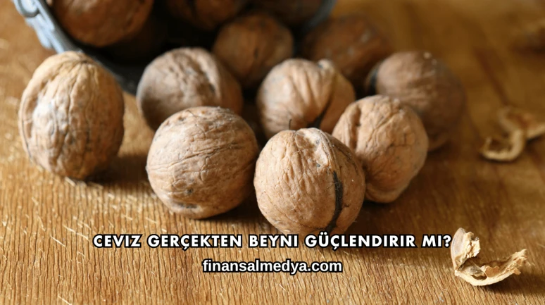Ceviz Gerçekten Beyni Güçlendirir mi?