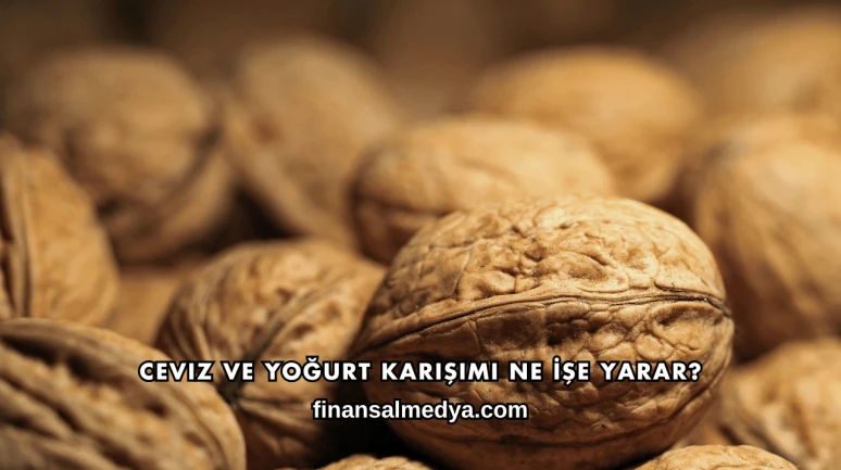 Ceviz ve Yoğurt Karışımı Ne İşe Yarar?
