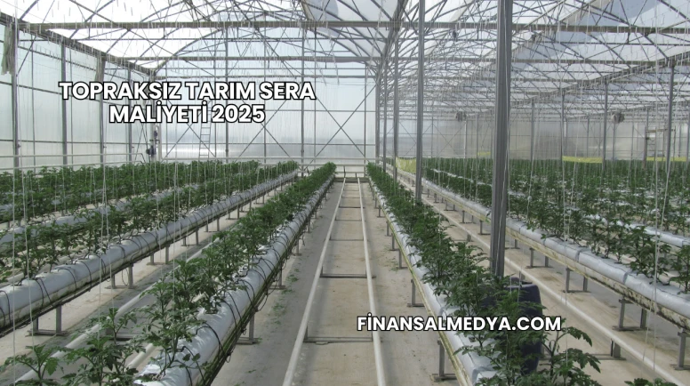 Topraksız Tarım Sera Maliyeti 2025