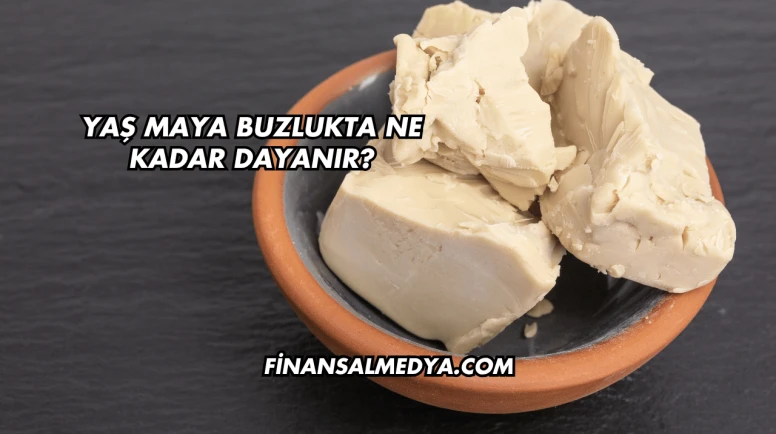 Yaş Maya Buzlukta Ne Kadar Dayanır?