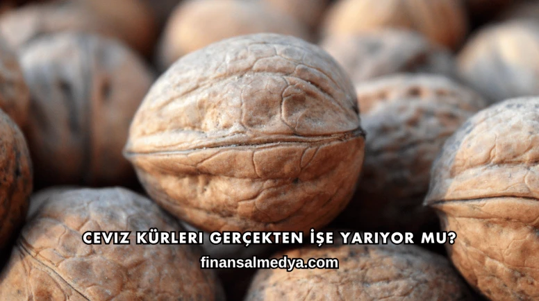 Ceviz Kürleri Gerçekten İşe Yarıyor mu?