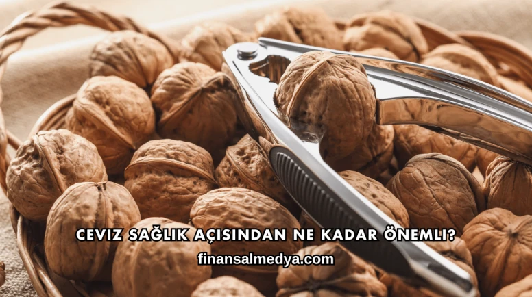 Ceviz Sağlık Açısından Ne Kadar Önemli?