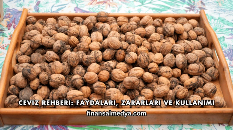 Ceviz Rehberi: Faydaları, Zararları ve Kullanımı