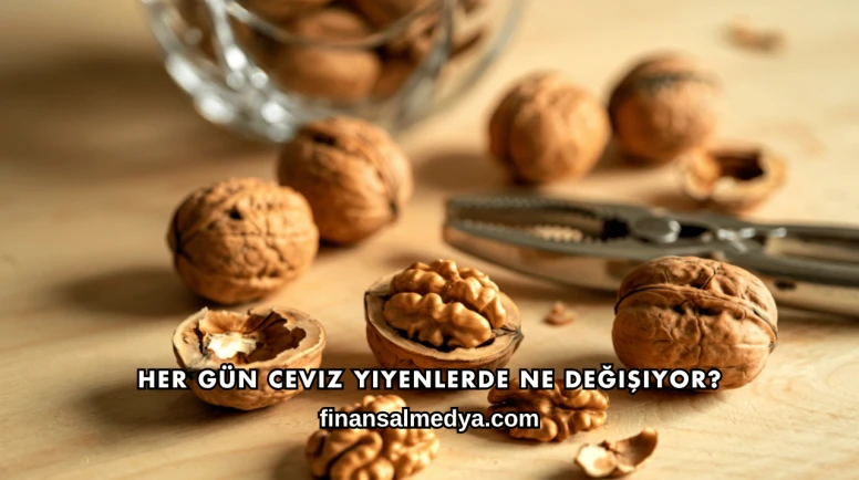 Her Gün Ceviz Yiyenlerde Ne Değişiyor?