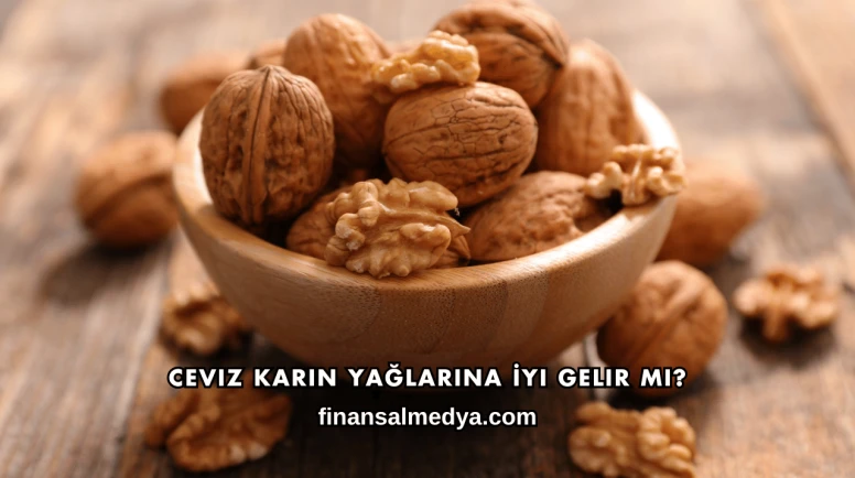 Ceviz Karın Yağlarına İyi Gelir mi?