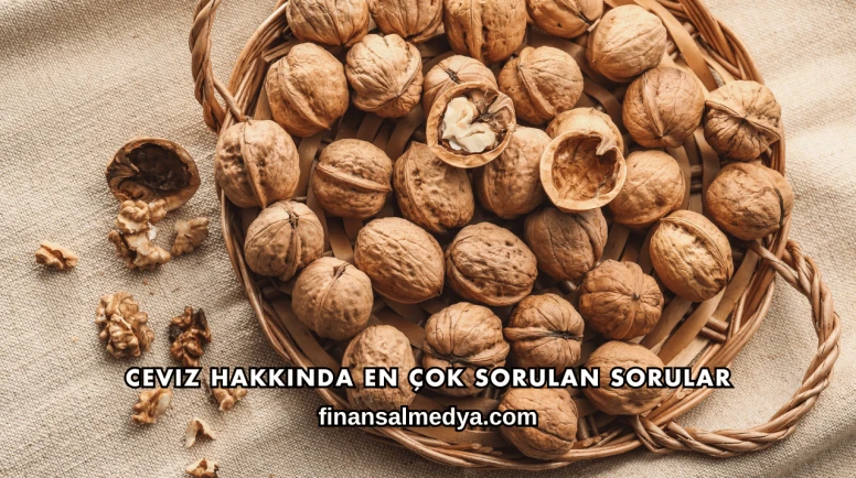 Ceviz Hakkında En Çok Sorulan Sorular
